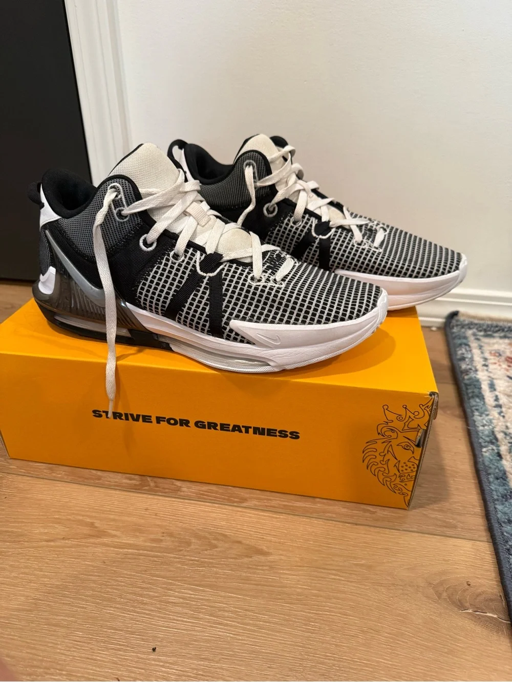 Nike Lebron Witness 6 Black/White